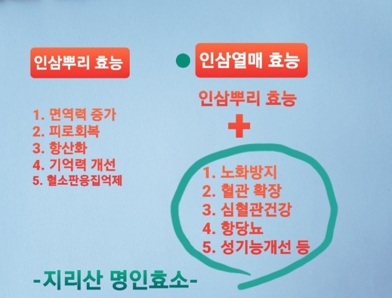 인삼명가 이미지