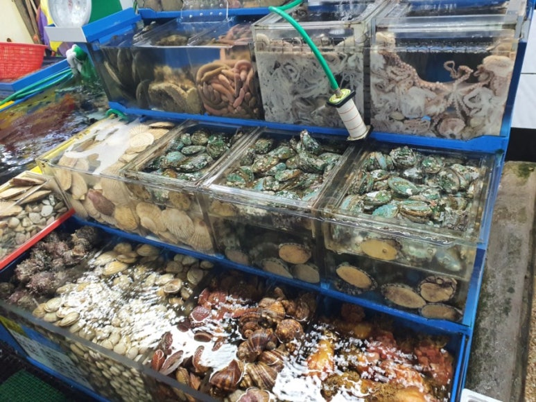 덕화상회 이미지