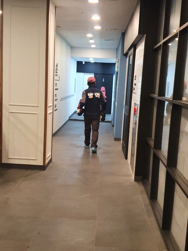 스윔스타즈 이미지