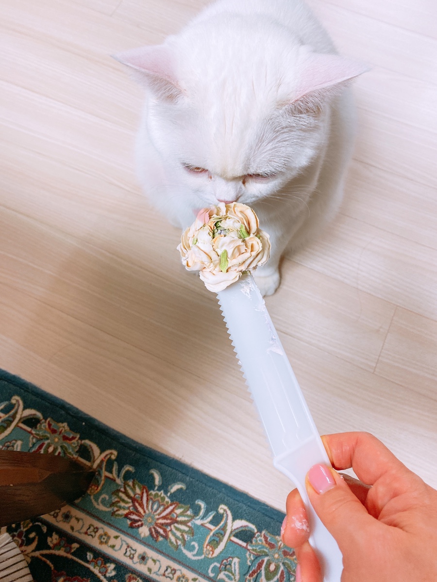 여르미케이크 이미지