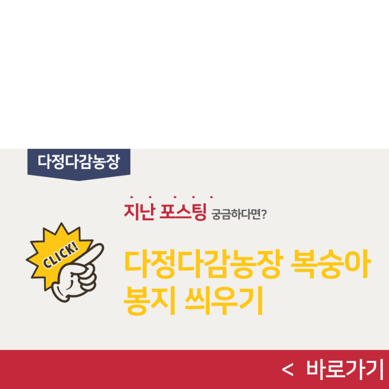 피자2001 이미지