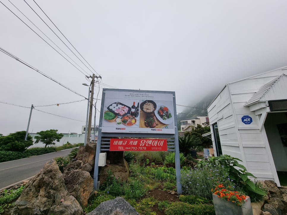 제주흙돼지 이미지