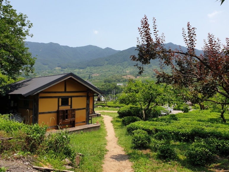 팔모정식당 이미지