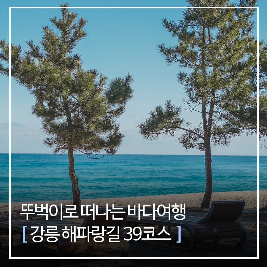 해파랑길 39코스 바우길 05구간 이미지