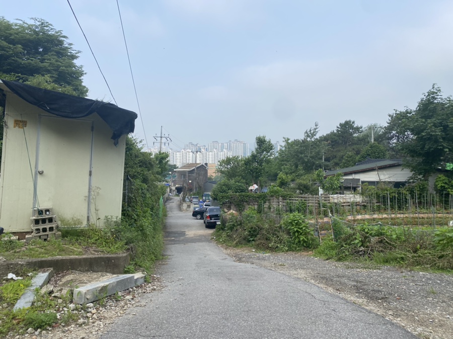 돼지야회먹자 이미지