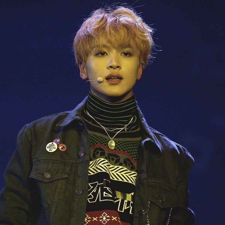 모하이 이미지