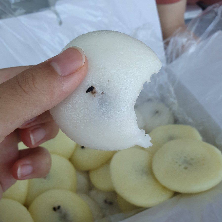 송화잔기지떡 마곡점 사진 8