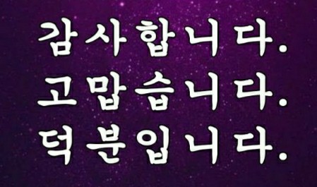 여리들 이미지