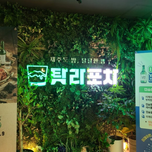탐라포차 둔산점 이미지