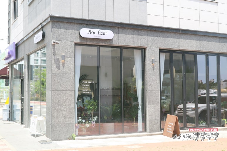 피오유플레르 이미지