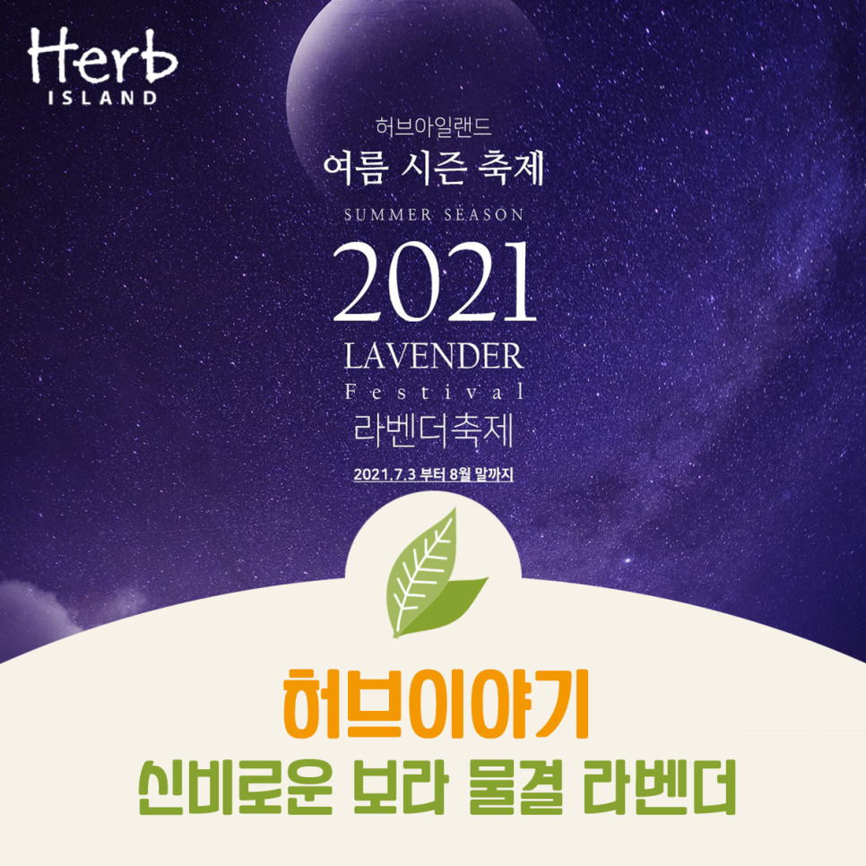 허브이야기 이미지