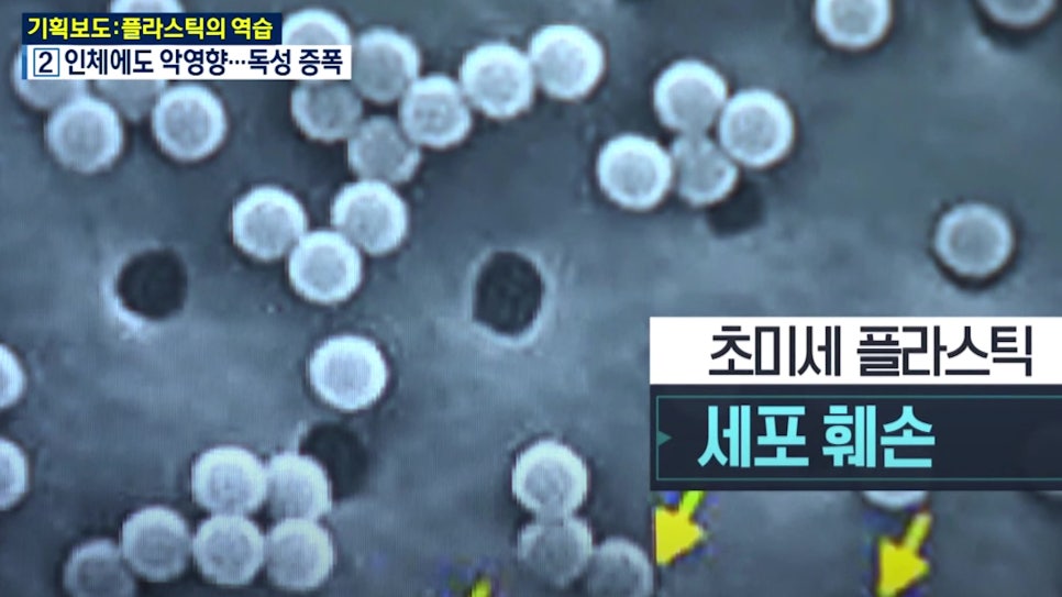 나노쉴드 이미지