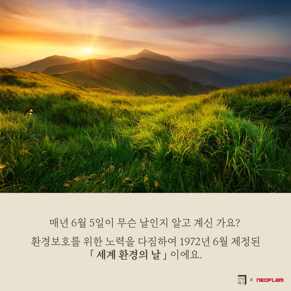 내몸살림 이미지