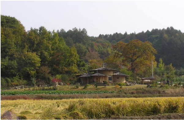 법인옐로우창농 이미지