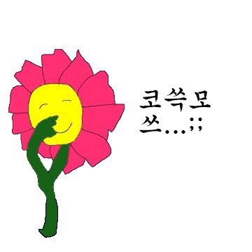 포항월드킹월드킹 이미지