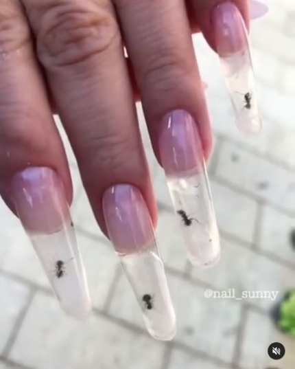 네일써니 이미지