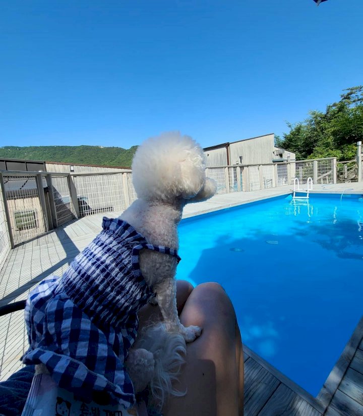 어나더153애견펜션 이미지