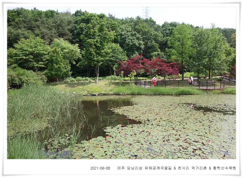 황학산수목원 이미지