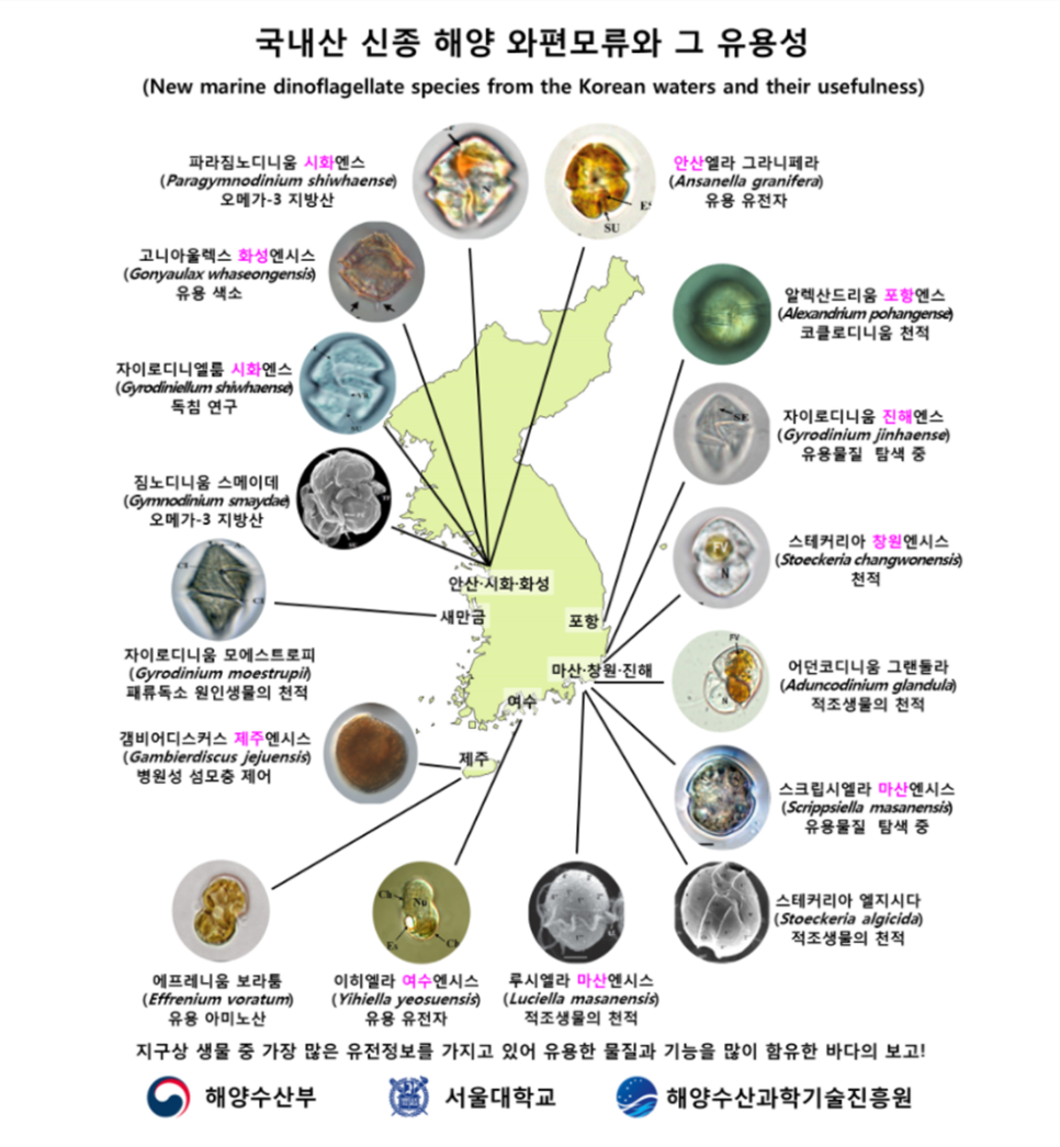 바다의왕자 이미지