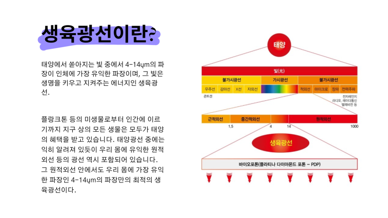 바이오포톤테라피 이미지