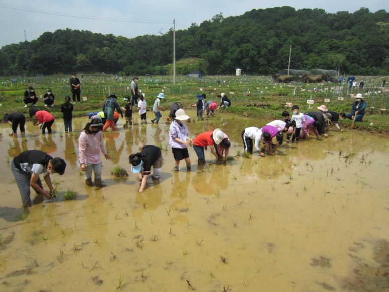 처음학교생태체험 이미지