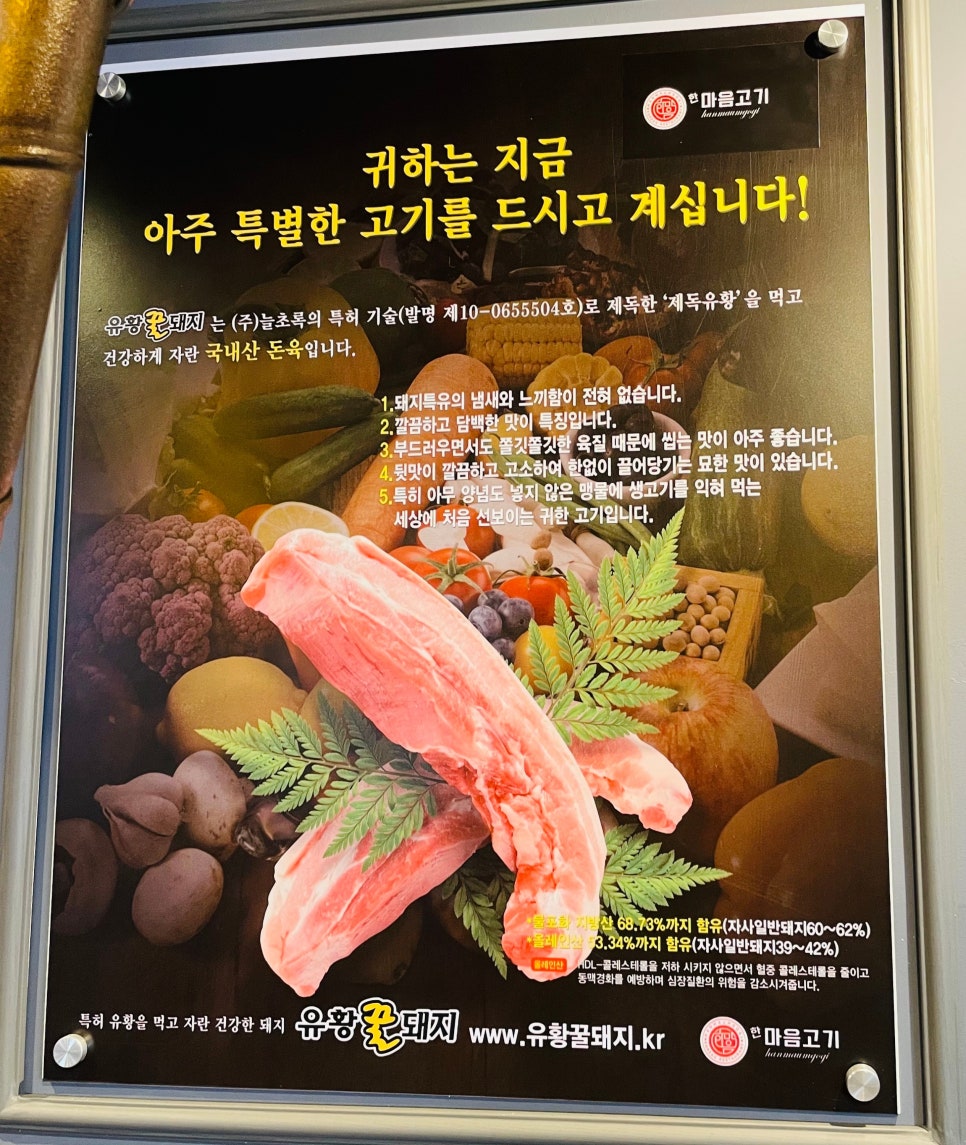 유황꿀돼지 이미지