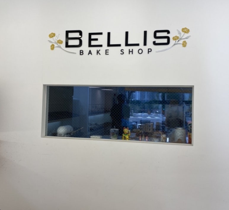 벨리스(bellis) 이미지