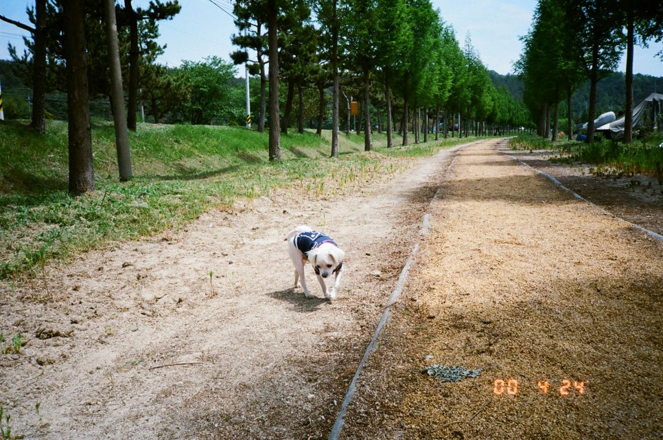 파랑필름 이미지