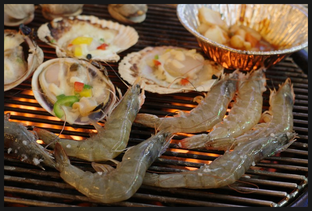 조개바다 이미지