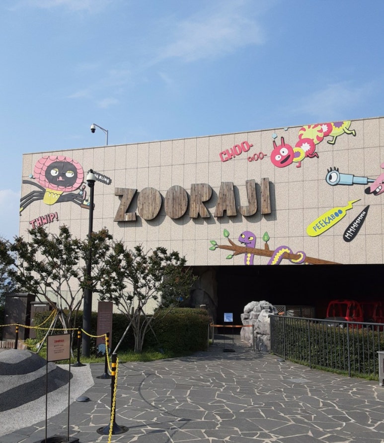 주라지(ZOORAJI) 이미지