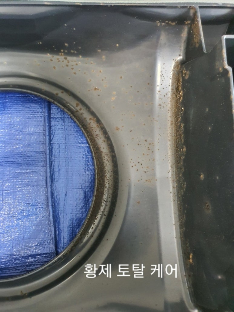 황제스탠드 이미지