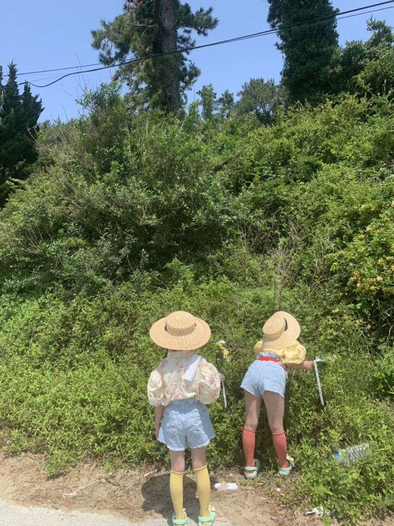 서편제민박 이미지