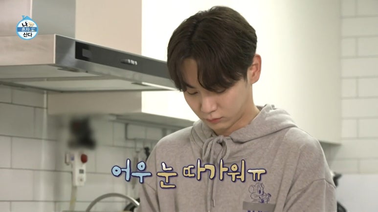하루참치 이미지