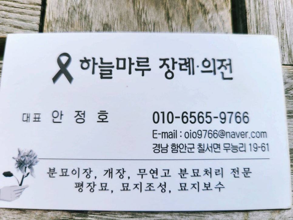 하늘의전 이미지