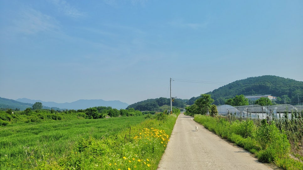 야미빙수 이미지