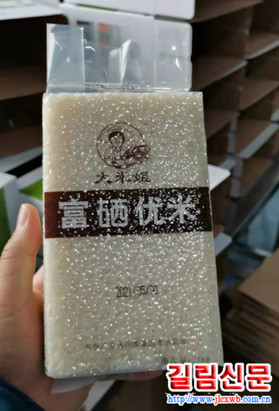 따미제 이미지