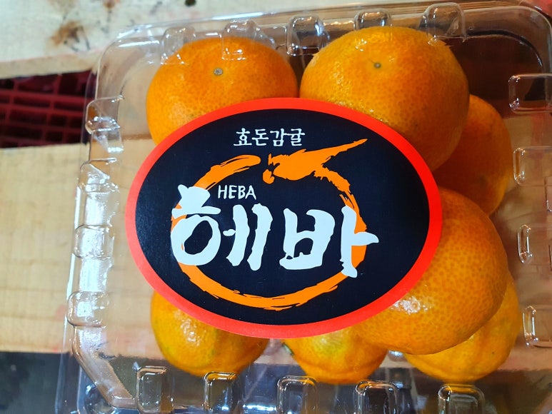 과일사랑 이미지