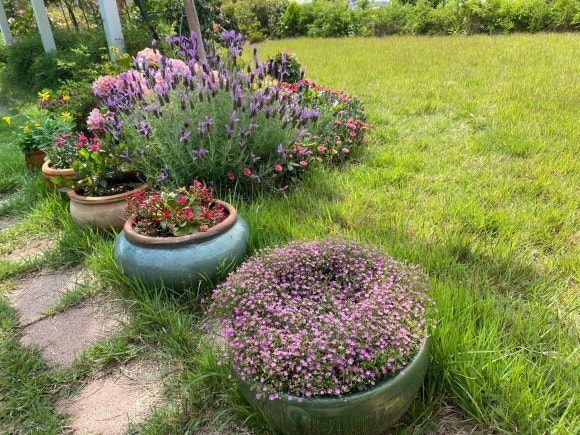 FRONT YARD(앞마당) 이미지