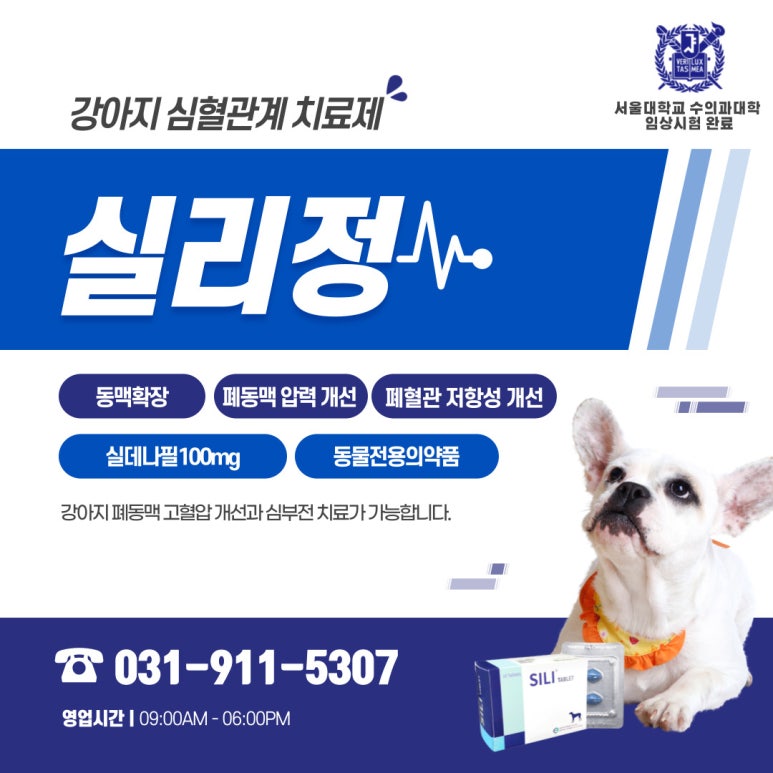 실리(SILI) 이미지