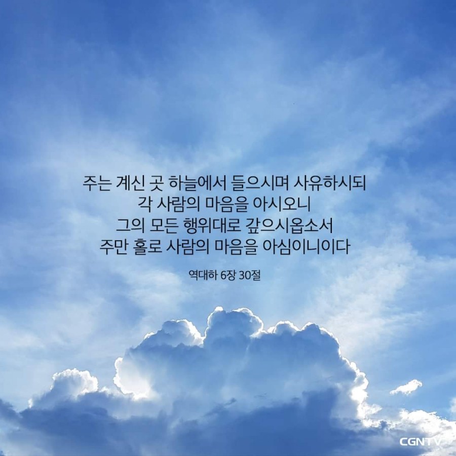 PCC 이미지