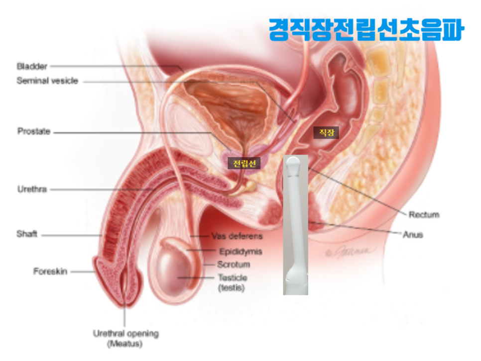 수비뇨의학과의원 이미지