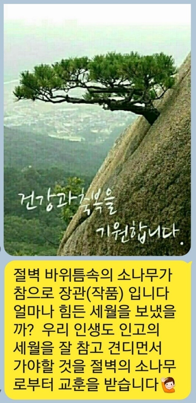 삼성엘지캐리어에어컨수리설치 이미지