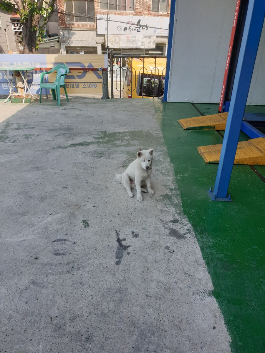에이스카센터 이미지