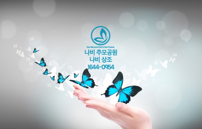 나비상조 이미지