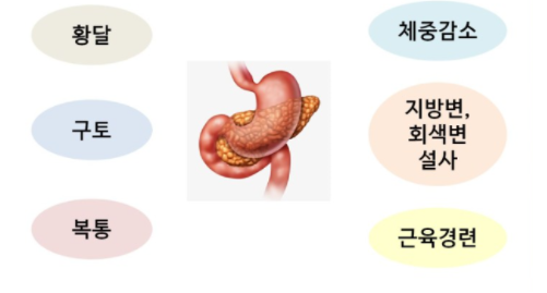 헤세디아 이미지
