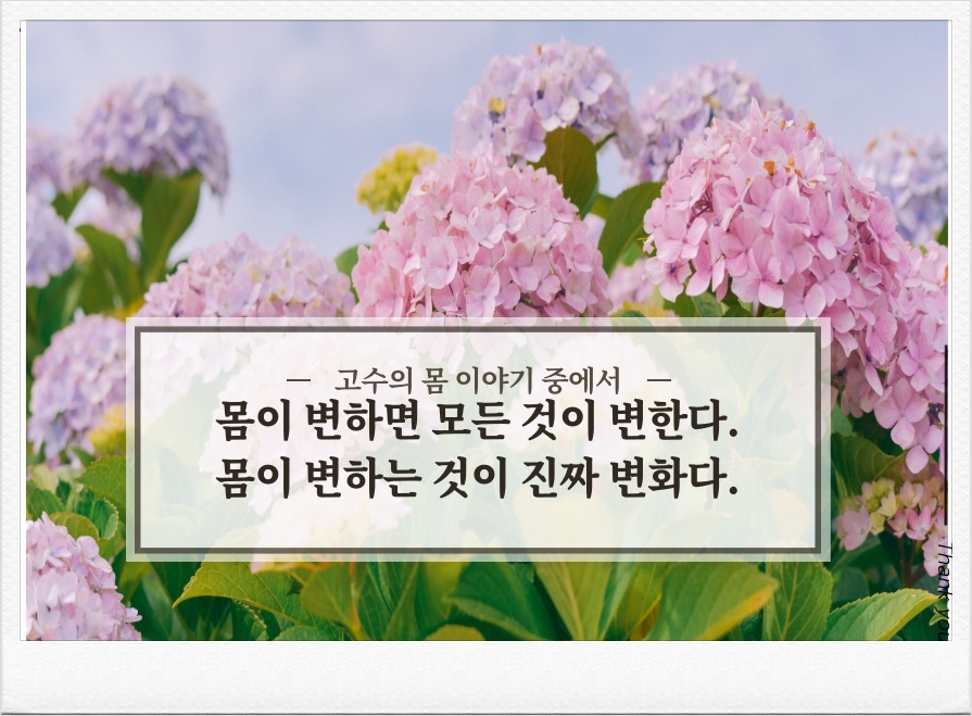 사우점핑다이어트 이미지