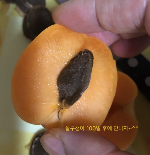쎄일마트 이미지