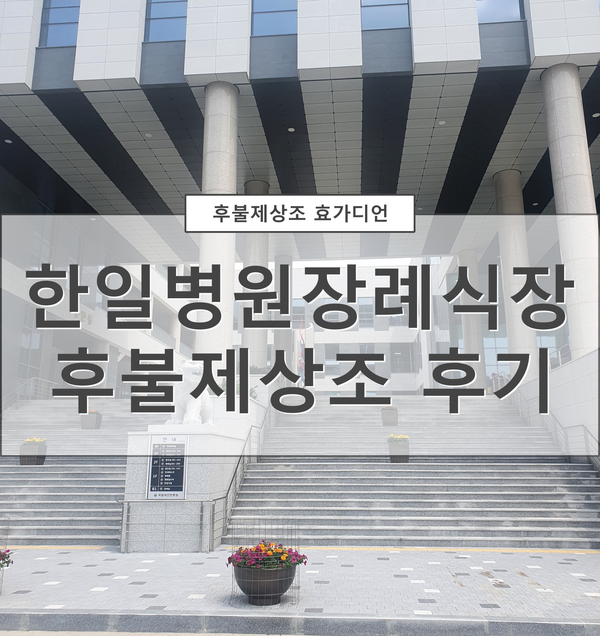효가디언 이미지