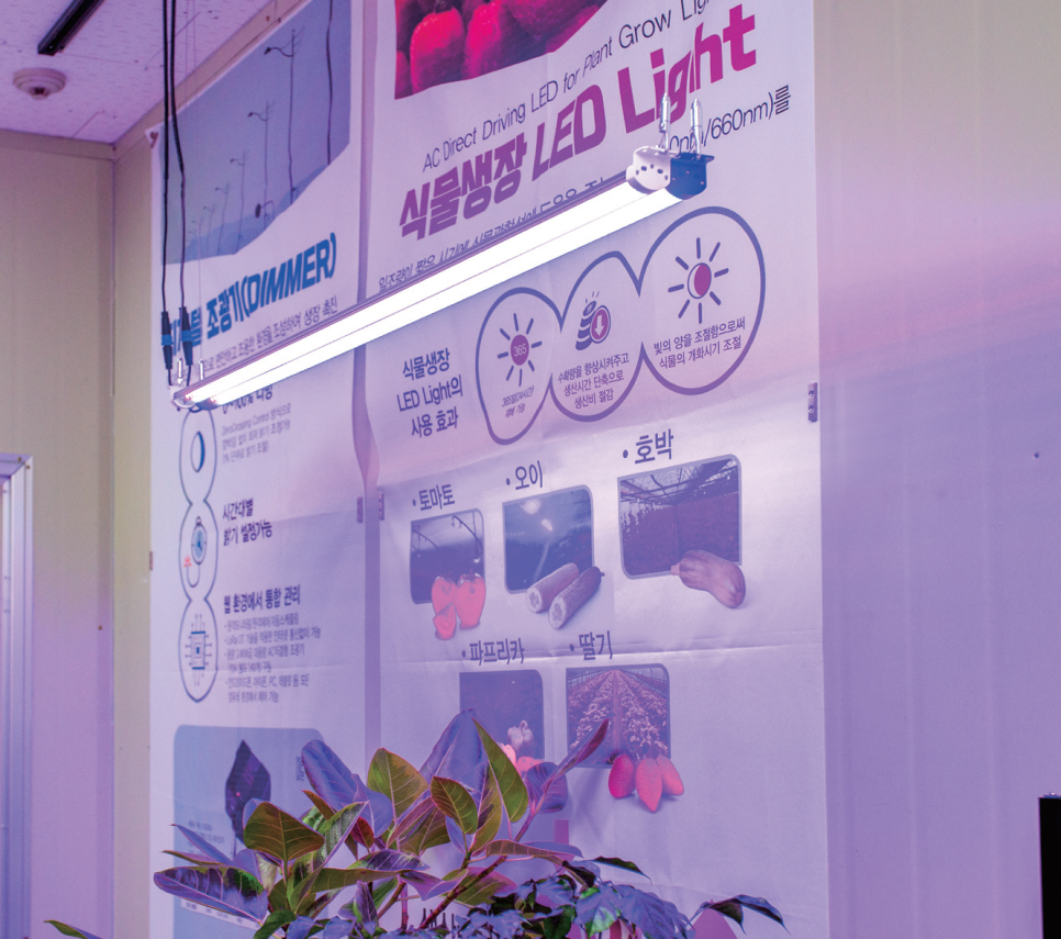 케이조명 이미지