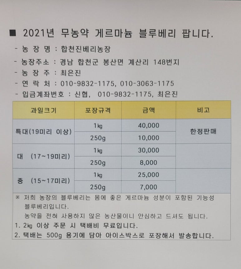 합천진베리 이미지